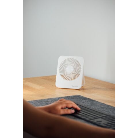 Everest EFN-601 Beyaz 2000MAH 4 Kademeli 4000RPM Hız Metal Ayak Masaüstü USB Fan