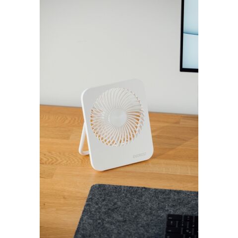 Everest EFN-601 Beyaz 2000MAH 4 Kademeli 4000RPM Hız Metal Ayak Masaüstü USB Fan