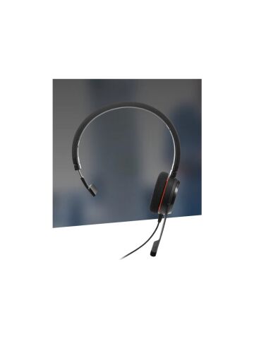Jabra Evolve 20 Mono Usb Nc Kulaklık Mikrofon Tek