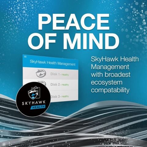 Seagate SkyHawk 4TB 3.5'' 5400RPM 256MB SATA 3 Güvenlik Sabit Diski (ST4000VX016) (Koyuncu Distribitör Ürünü)